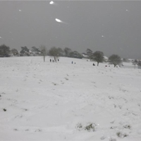 a few more snow pics march 2018 007