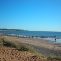 Dawlish Beach 2010 012