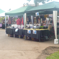 Lot's going on today