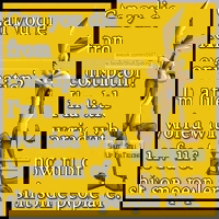 1238179_471779082921236_312895047_n