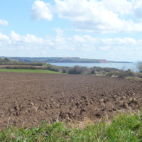 A sunny April morning