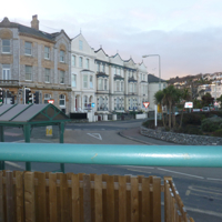 No Christmas Trees 005