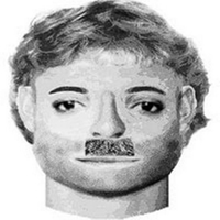 The latest female Black Swan dog attack on The Lawn.