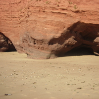 Dawlish Beach 2010 007