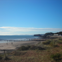 Dawlish Beach 2010 011