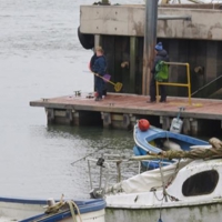 What's wrong with people?