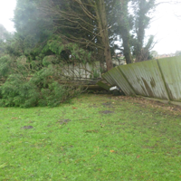 Storm damage at Lady's Mile