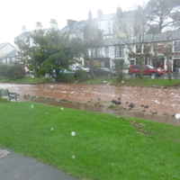 Dawlish Brook 30th December 2015 014