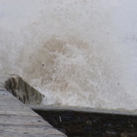 The day after the storm 002