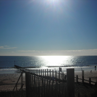Dawlish Beach 2010 013