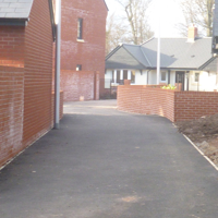 New houses in the woods 003