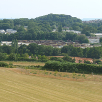A taste of the Country Park at Port Road 009