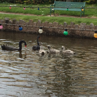 20160501_120957664_iOS