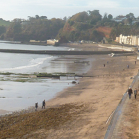 A sunny morning in December 2016 002-1