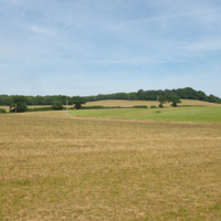 A taste of the Country Park at Port Road 001