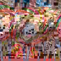 1185930_595711820515041_1738432152_n