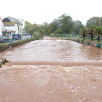 Dawlish Brook October 11th 2012