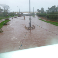 Dawlish Brook 30th December 2015 001