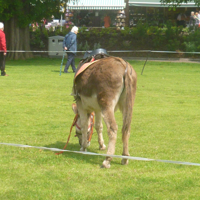 Bank holiday Saturday 003