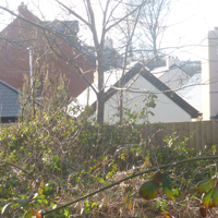 New houses in the woods 004