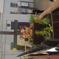 WP_20180525_12_35_48_Pro