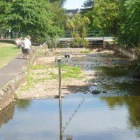 Dawlish on a sunny july day 2014 001