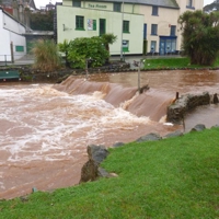 The day after the storm 004