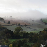 Nice bit of mist on Luscombe hills this morning