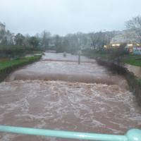 Dawlish Brook 30th December 2015 018