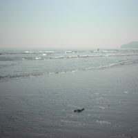 Dawlish Beach in Autum 007