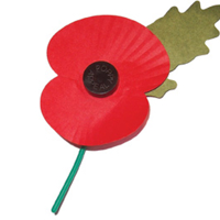 Poppy Appeal 2012