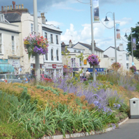 Dawlish on a sunny july day 2014 004