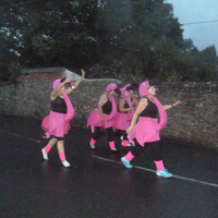 Dawlish Carnival 2016 059