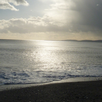 A sunny morning December 27th 002