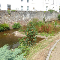 Dawlish on a sunny july day 2014 003