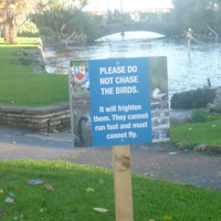 New signs at The Lawn 002