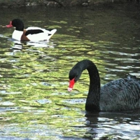 Town-clerk-bemoans-loss-of-popular-25262