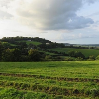 New Build - Langdon Lane, replacement building.