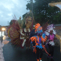 Dawlish Carnival 2016 048