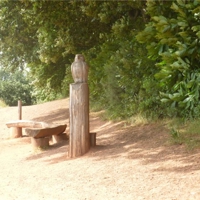 Our lovely Country Park