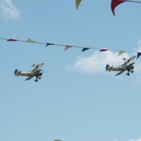 Utterly-Butterly-25464