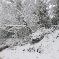 A few more snow pics March 2018 011