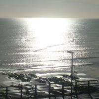 A sunny morning in December 2016 007