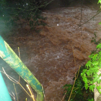 Dawlish Brook 30th December 2015 016