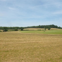 a taste of the country park at port road 001