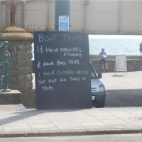 Looking for something to do?