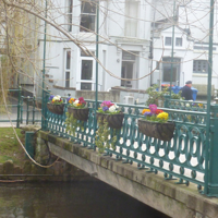 Planting Volunteers 004