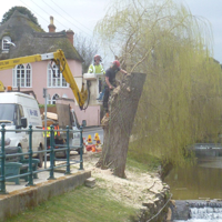 Planting Volunteers 005