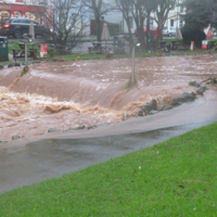 Dawlish Brook 30th December 2015 008