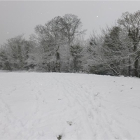 a few more snow pics march 2018 008